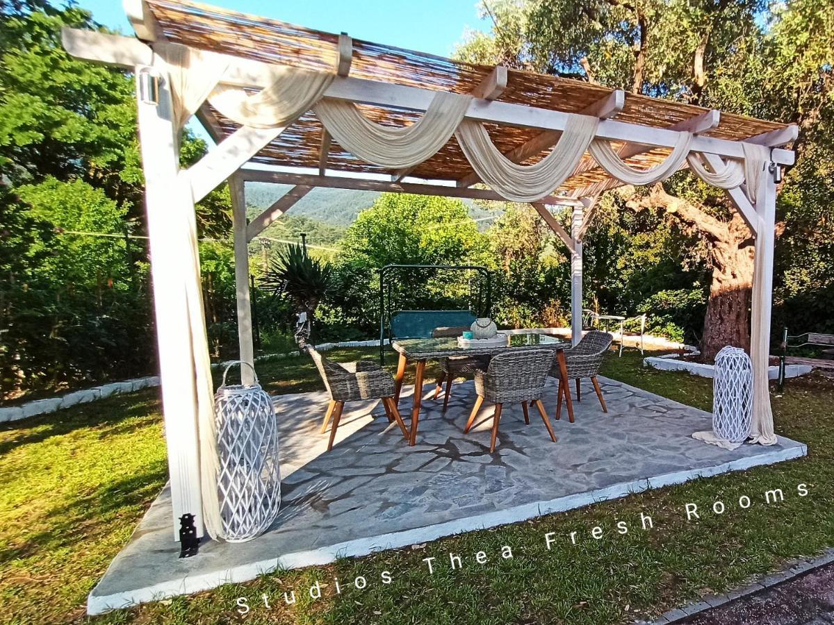 Studios Thea Fresh Rooms Thassos Exteriér fotografie