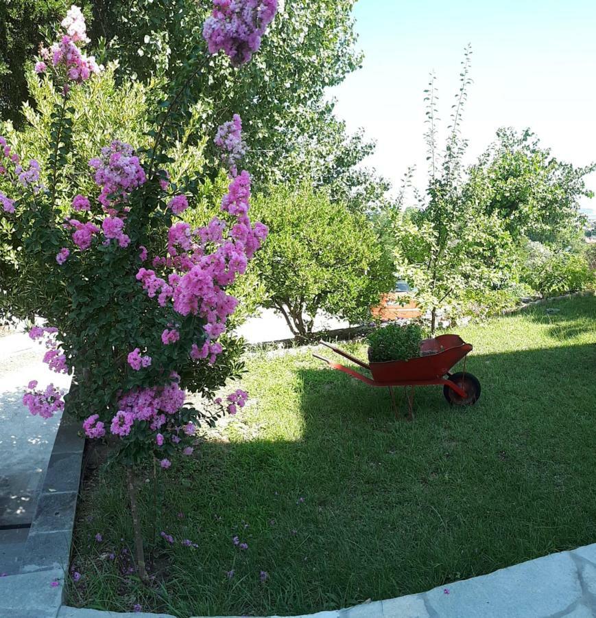 Studios Thea Fresh Rooms Thassos Exteriér fotografie