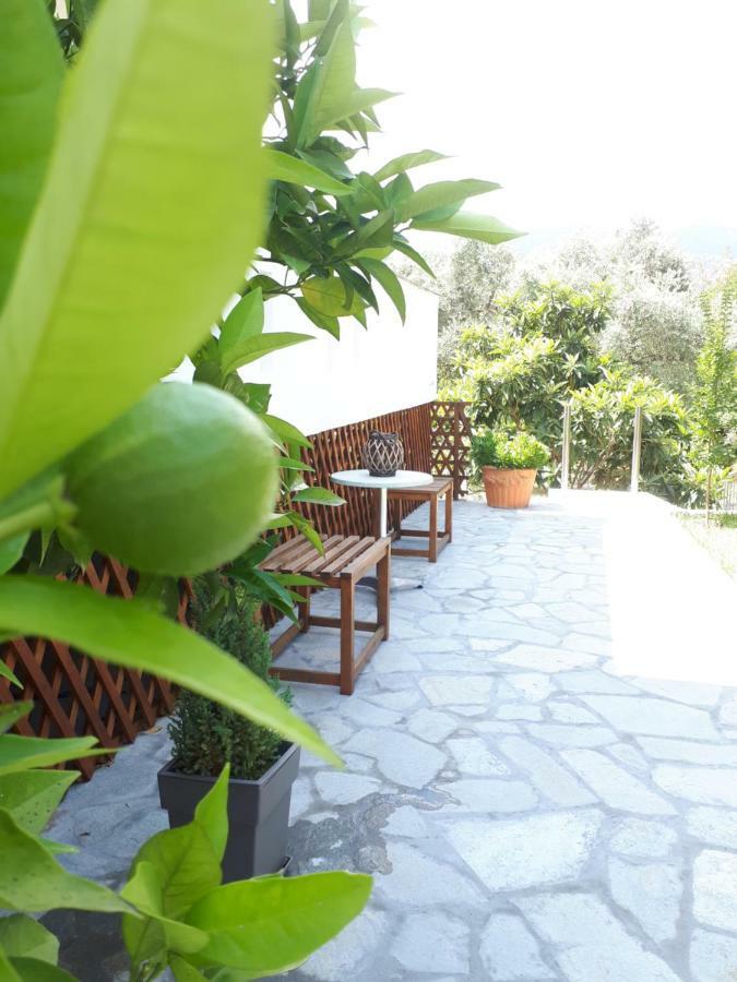 Studios Thea Fresh Rooms Thassos Exteriér fotografie